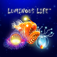 Luminous Life