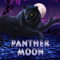 Panther Moon