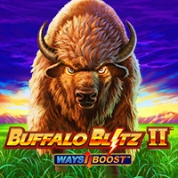 Buffalo Blitz II