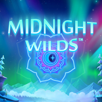 Midnight Wilds