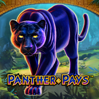 Panther Pays