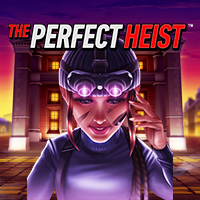 The Perfect Heist