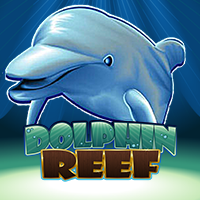 Dolphin Reef
