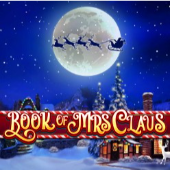 Book Of Mrs Claus
