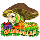 Cashapillar